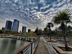 -白塘生态植物园