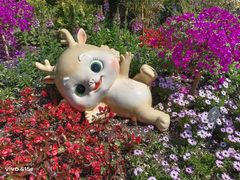 -国家植物园