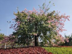 -中国移动南方基地