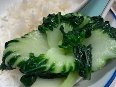 鸡汤白菜苗-东海海鲜酒家(流花店)