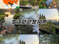-重庆彩云湖湿地公园