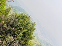 -府君山公园