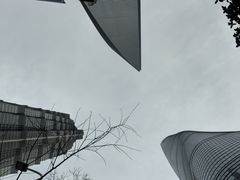 -陆家嘴空中步行连廊