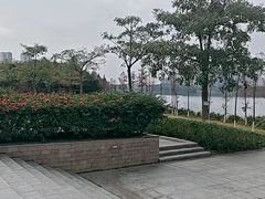 -飞来湖湿地公园