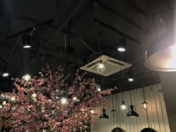 -逸丝风尚yesfashion造型
