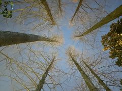 -东天目山风景区