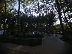 -仁和公园(顺义区)