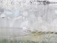 -北京植物园南门售票处