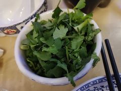 香菜末-月圆火锅(宁海东路二店)