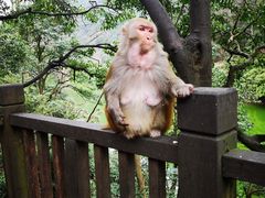 -黔灵山公园