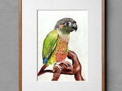 -美路缘艺术空间