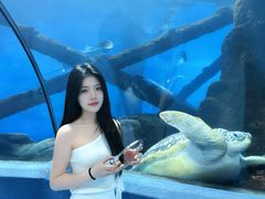 -合肥海洋世界