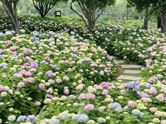 -金银湖国家城市湿地公园