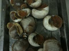 -威海小海鲜大排档胖哥烧烤(双井店)