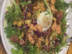 -Tubestation站点比萨(五道营店)