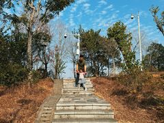 -聚龙山公园