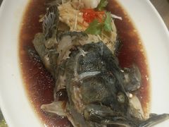 -小平岛開海水饺(浑南店)