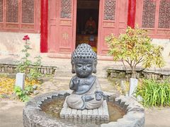 -少华山国家森林公园