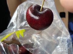 -西郊国际农产品交易中心