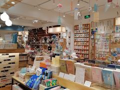 -猫的天空之城概念书店(束河店)