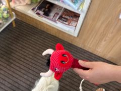 -爱妮康宠物医院·干细胞免疫细胞·肿瘤·心脏(张江店)