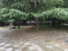 -西苑公园