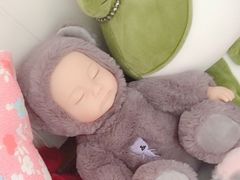 -PAWTOY爪e玩偶店(天兴罗斯福店)