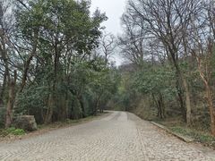 -紫金山山顶公园