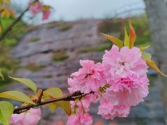 -玻璃桥景区石牛寨