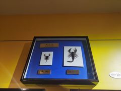 -上海昆虫博物馆