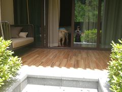 -上海崇明金茂凯悦酒店