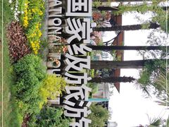 -上海长兴岛郊野公园