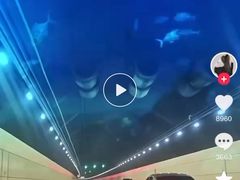 -胶州湾海底隧道