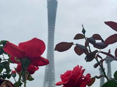 -海心沙亚运公园
