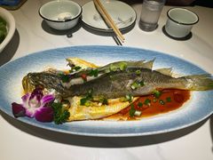 -33号大院·青岛本帮菜(五四广场店)