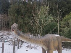 -武陵山森林公园