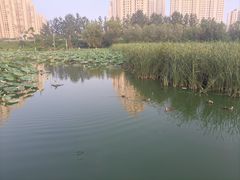 -前关湿地公园