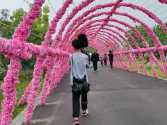 -祥源·阜阳生态乐园