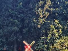 -武陵山森林公园