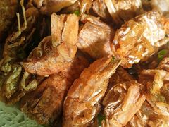 -龙眼南白粥六顺白粥