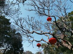 -广州兰圃