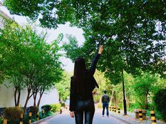 -大叔家福鼎小吃(十全街店)