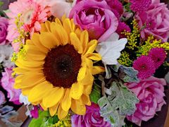 -东北大厦酒店(沈阳北站青年大街店)