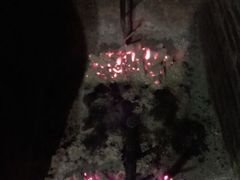 -香木香羊烤全羊羊蝎子(大运河博物馆店)