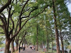 -食膳公园包子铺(烈士公园店)