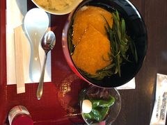 きつね抹茶うどんセット-中村藤吉(平等院店 )