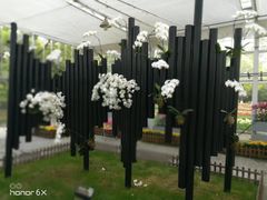 -上海鲜花港