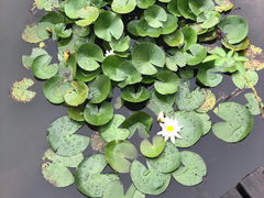 -白塘生态植物园
