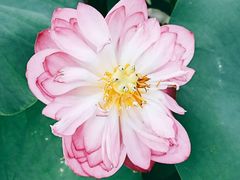 -龙环葡韵住宅式博物馆