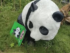 -武汉动物园